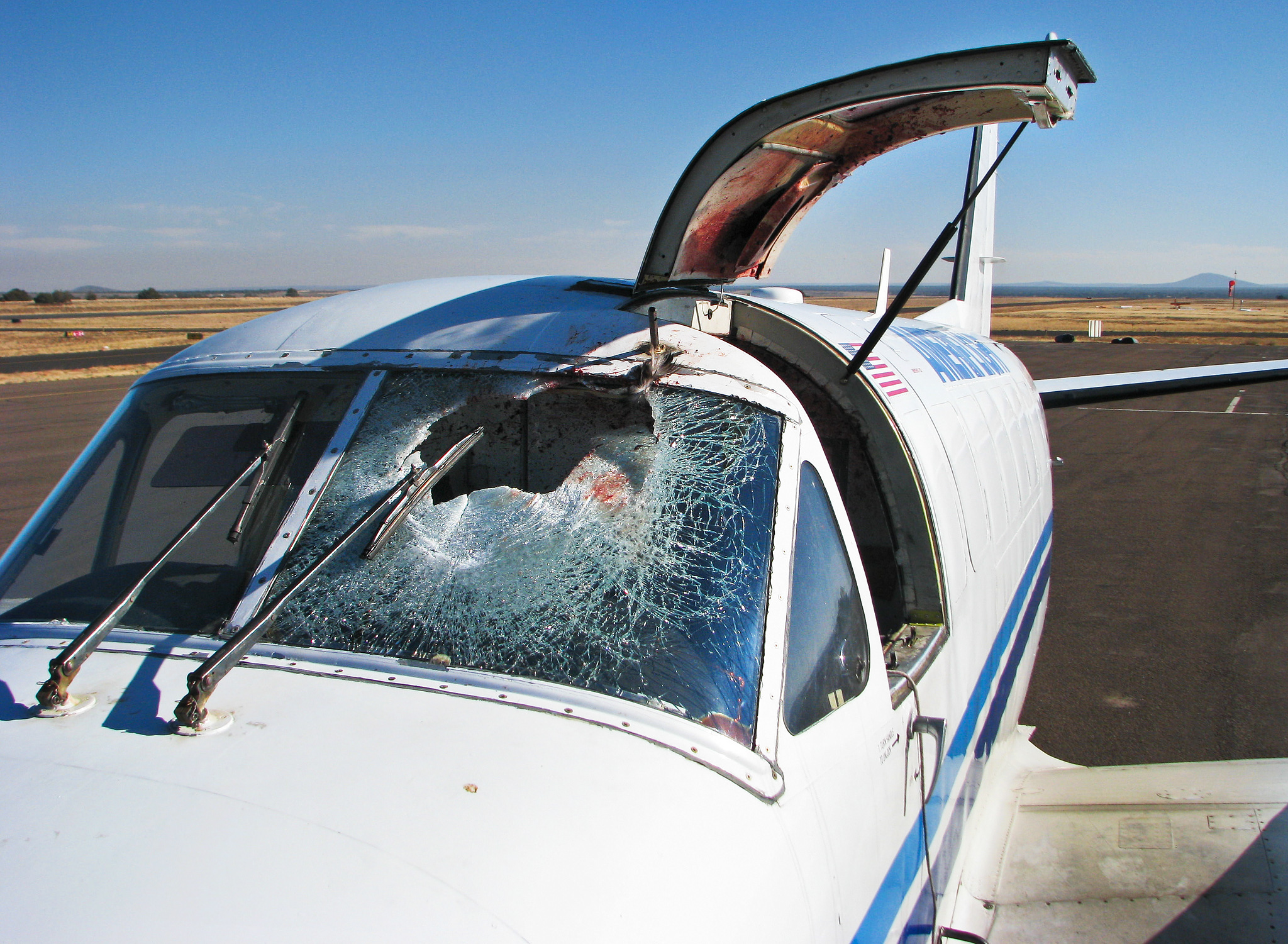 damage from bird crashing into cockpit windscreen